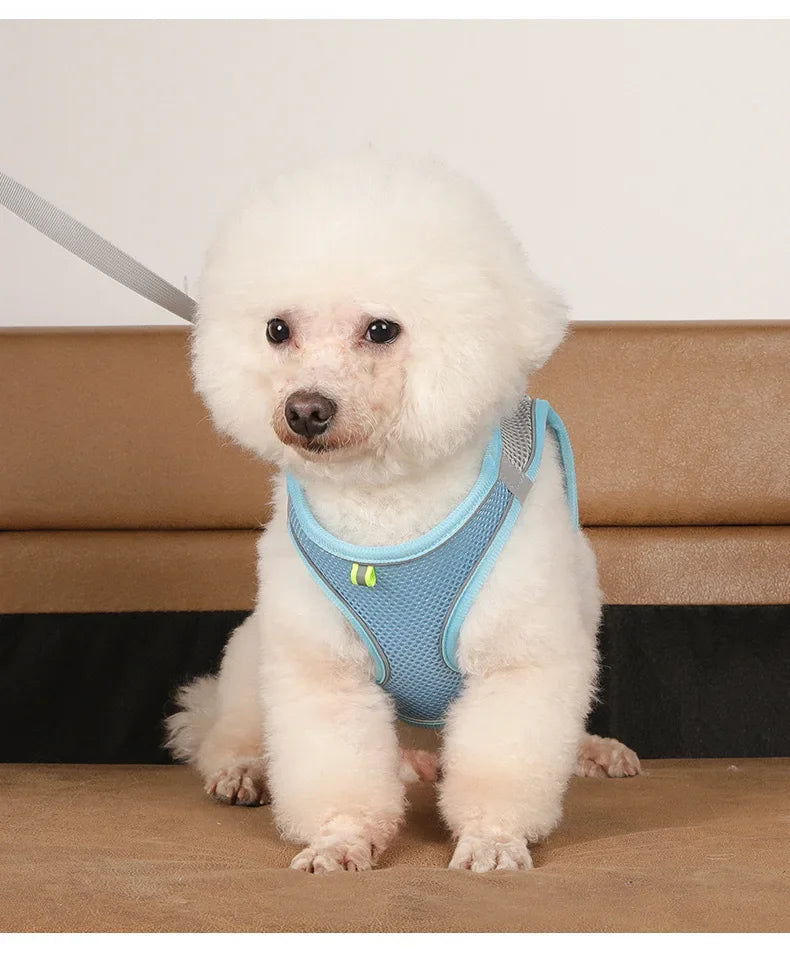 Pet Things Accessories Cute Adjustable  Collar and Leash Set for Walking Safe Reflective Soft Comfortable Vest For Small Medium Dog Cat Pet