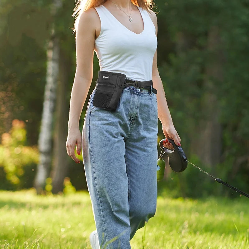 Mini Waist Bag Pet Dog Puppy Training Treat Snack Bait Pet Feed Obedience Agility Pouch Food Bag Pocket Snack Reward Waist Bag