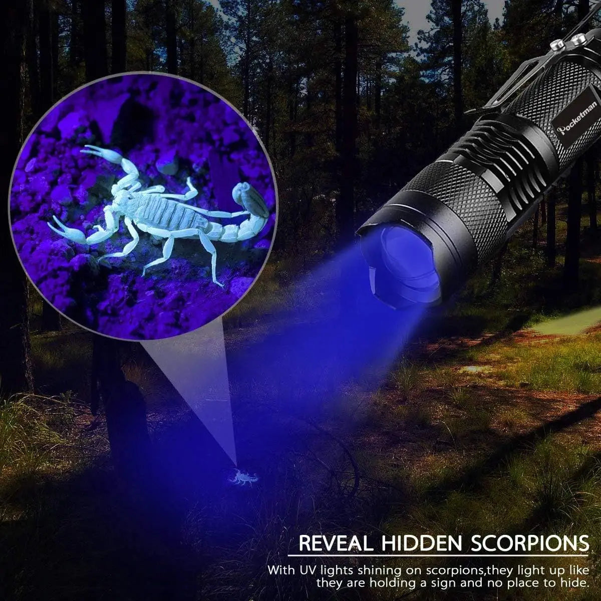 Mini LED UV Flashlight Zoomable 365nm 395nm Ultraviolet Lamp Portable Pocket Torch Money Scorpion Pet Urine Stain Detector Tools
