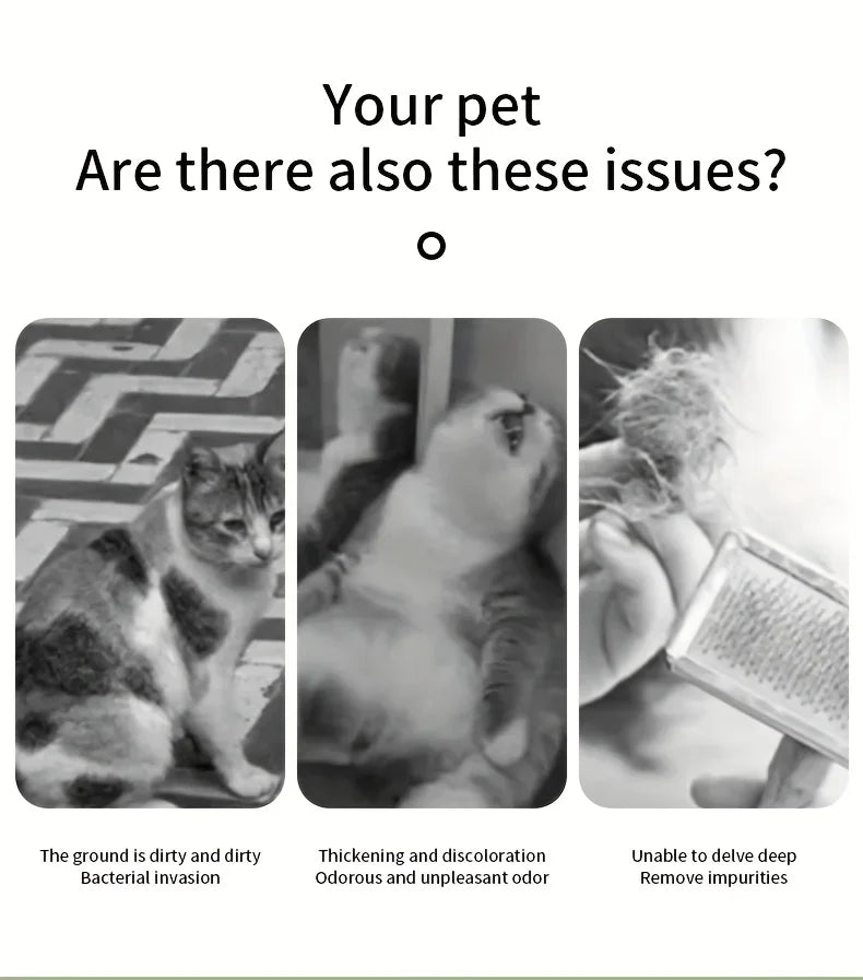 Steam Spray Grooming Brush Unique Steam Brush for Dogs Luxury Grooming Brush Dog Steam Brush Cat Supplies  Grooming