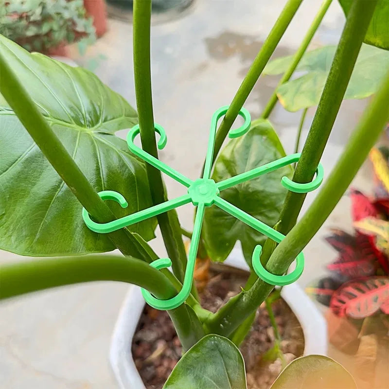 Plant Stem Support Frame Climbing Houseplant Stand Stakes Plastic Garden No Stake Trellis Indoor Plant Holder Rack Hoops