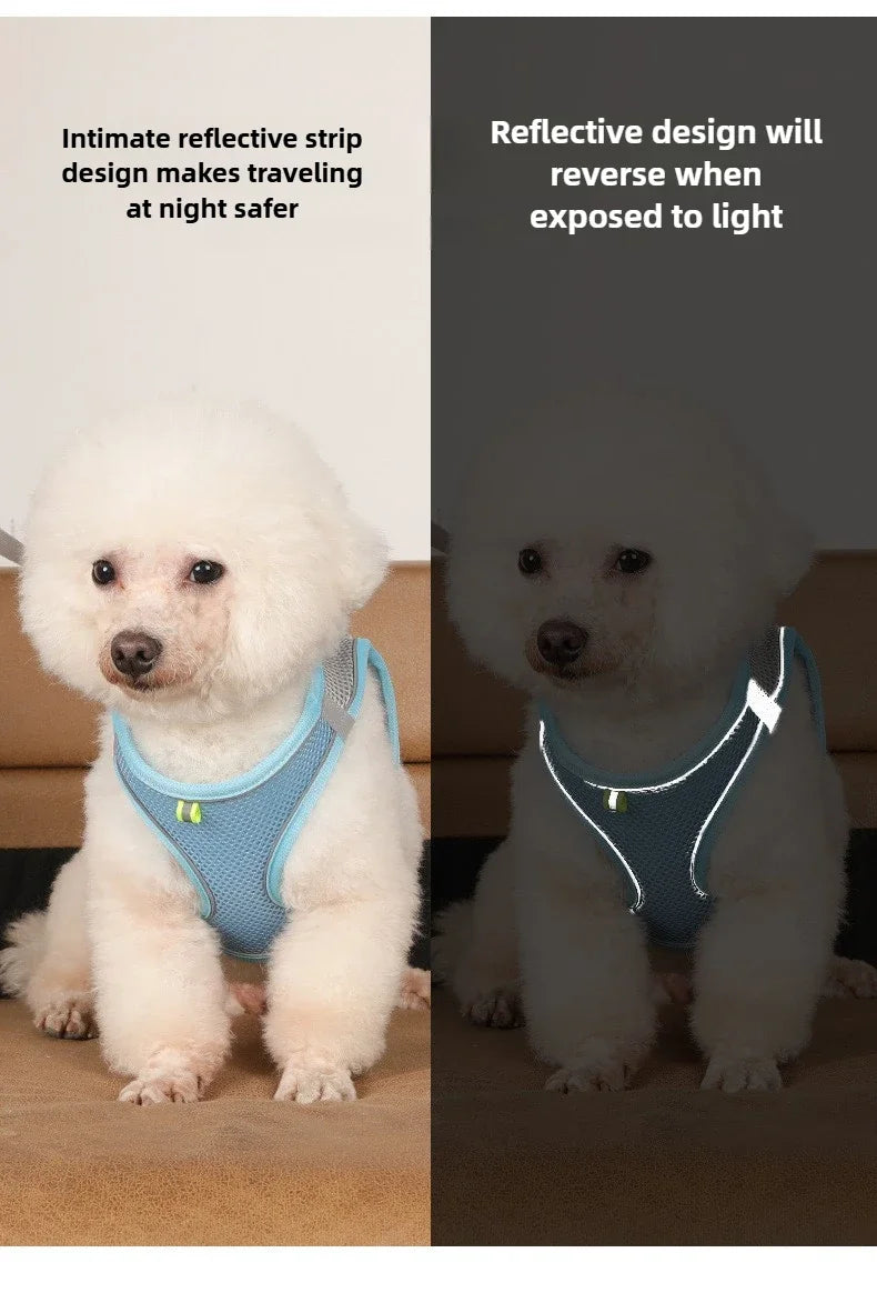 Pet Things Accessories Cute Adjustable  Collar and Leash Set for Walking Safe Reflective Soft Comfortable Vest For Small Medium Dog Cat Pet