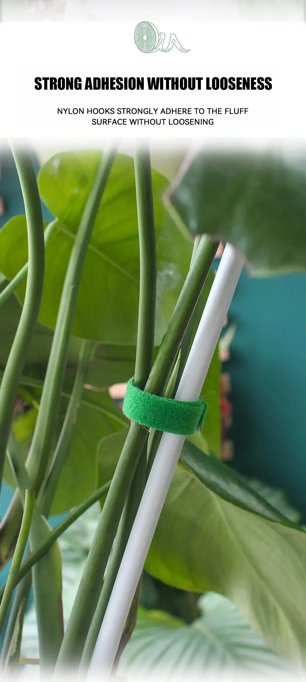 Tutors for Plants Self-adhesive Plant Nylon Cable Tying Climbing Plant Support Green Fastener Tape Reusable Care Garden Supplies