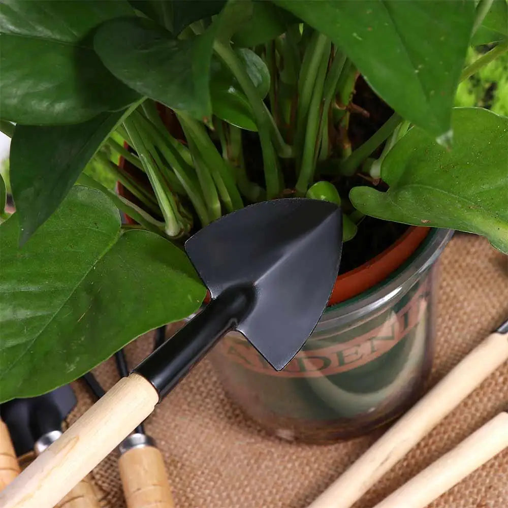 Scoop Handle Rake Gardening Potting Tool Sharp-nosed Shovel Gardening Shovel Flower Shovel Mini Garden Shovel Garden Trowel