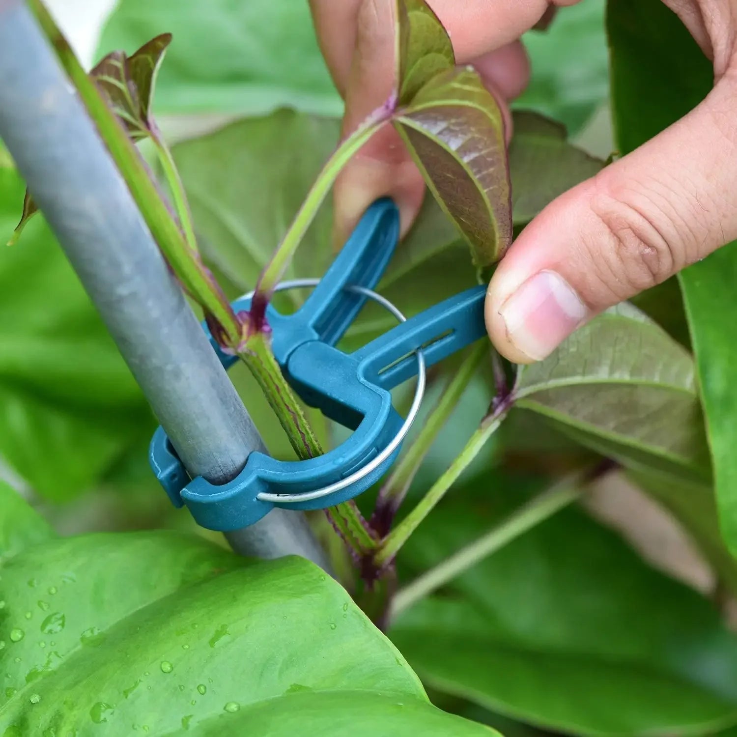 Garden Plant Support Clips Reusable Green Plastics Clips Climbing Plants Tomato Vine Support Clip Secure Growth Fixation Tools