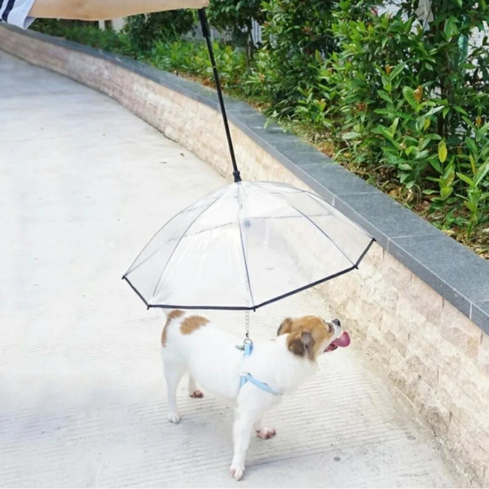 Detachable Clear Pet Dog Umbrellas C-Shape Handle with Leash Doggy Poncho Rainproof Adjustable Raincoat for Small Dogs