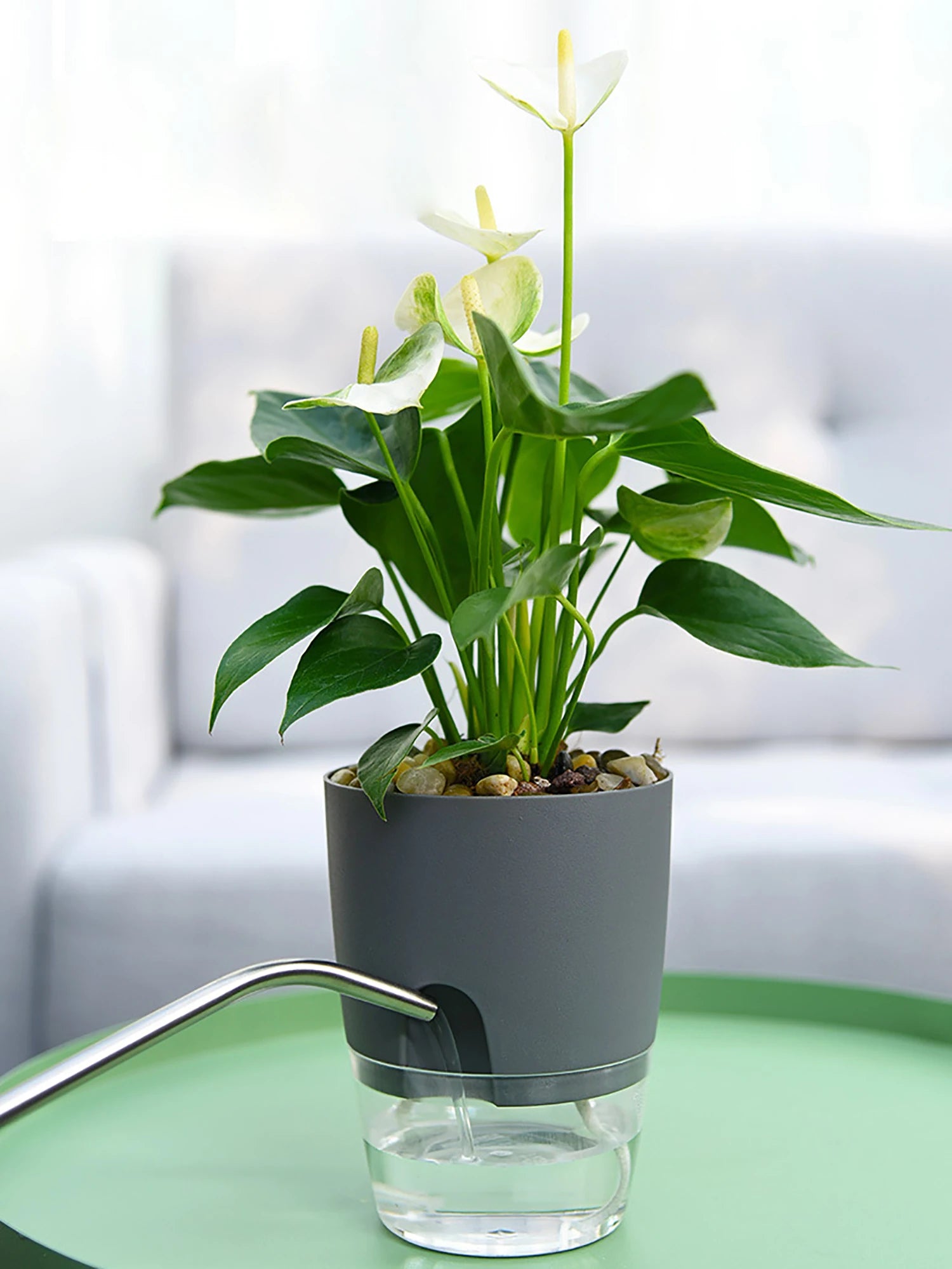 8.2/10.5/15.3/23.5cm Hydroponic Pot Self Watering Flower Pot Liquid Farming Soilless Cultivation Planter Cotton Rope Watering