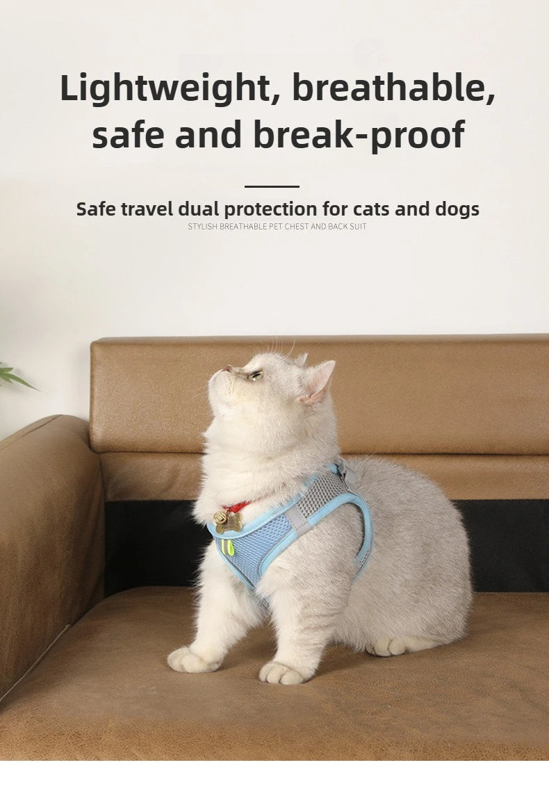 Pet Things Accessories Cute Adjustable  Collar and Leash Set for Walking Safe Reflective Soft Comfortable Vest For Small Medium Dog Cat Pet