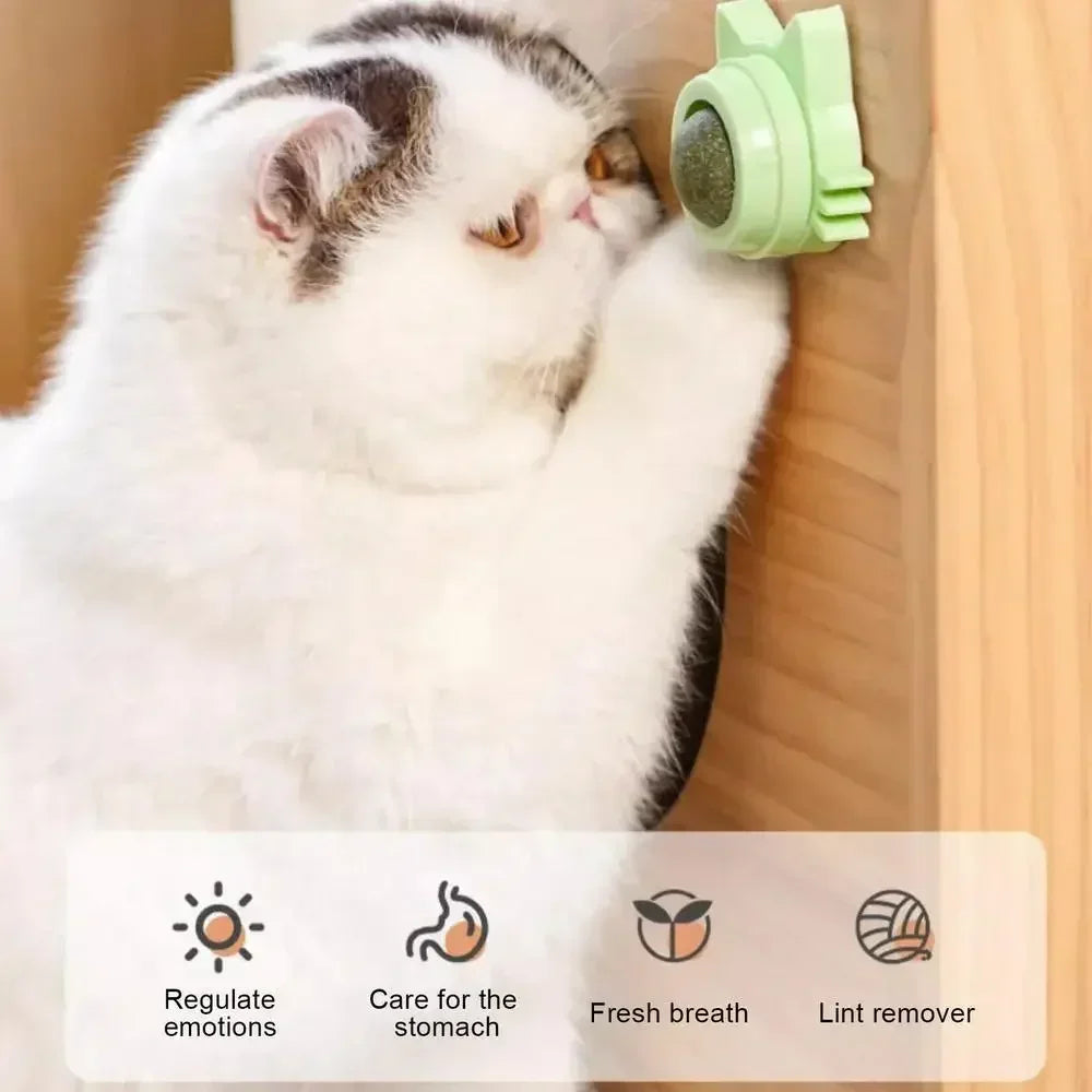 Catnip Balls Funny Lickable Cat Snack Catnip Balls Kitten Playing Chewing Cleaning Teeth Toy For pet supplies Small Medium Cats