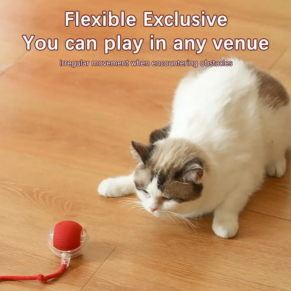 New Cat Interactive Ball Toy Automatic Rolling Ball Faux Tail Rechargeable Smart Pet Electric Toy Dog Cat Training Imitate Mouse