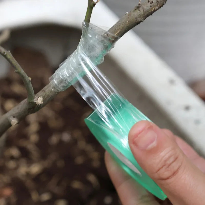 Stretchable Grafting Tape for Plant Support Nursery Use Household Garden Grafting Transparent Tape for Fruit Tree
