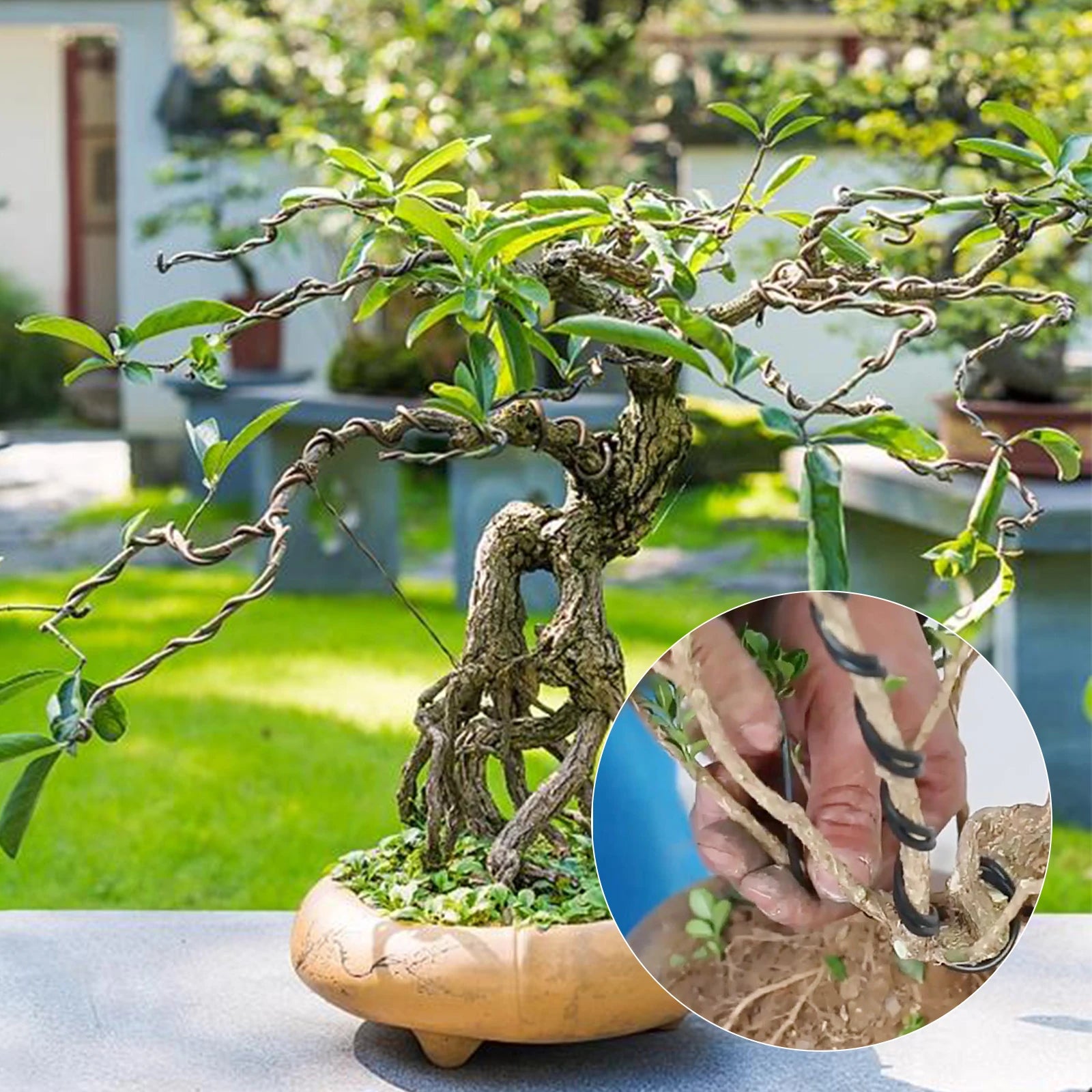 5/10m Bonsai Wire Plant Stand Fixing Bonsai Branches Training Wire Gardening Supplies Bonsai Shape Aluminum Wire for Bonsai Tool
