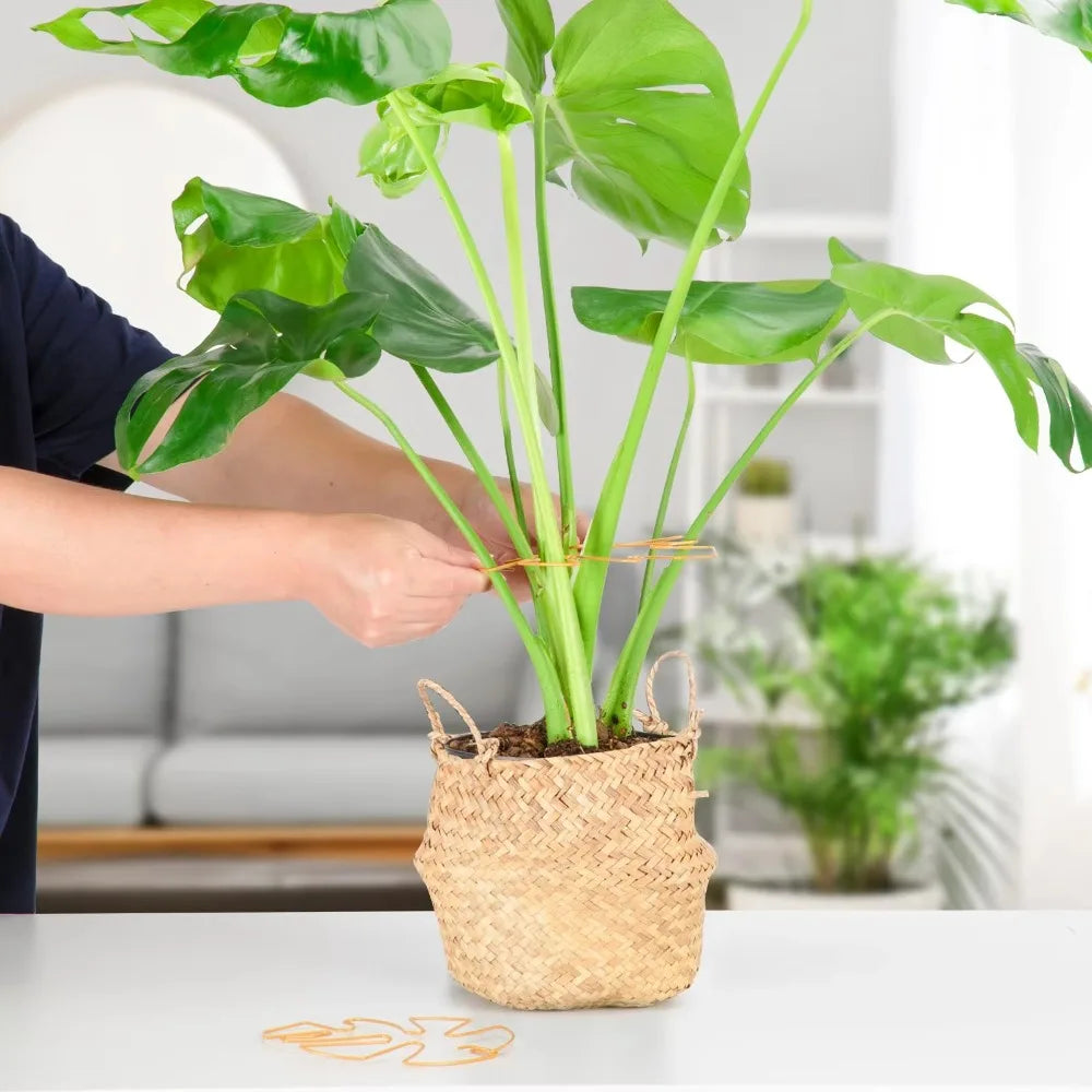 Stabilizers Plant Fixing Bracket Easy Installation Sturdy Decorative Plant Stand Bamboo Shaped Plant Holder Support Pole