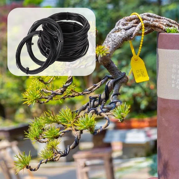 5/10m Bonsai Wire Plant Stand Fixing Bonsai Branches Training Wire Gardening Supplies Bonsai Shape Aluminum Wire for Bonsai Tool