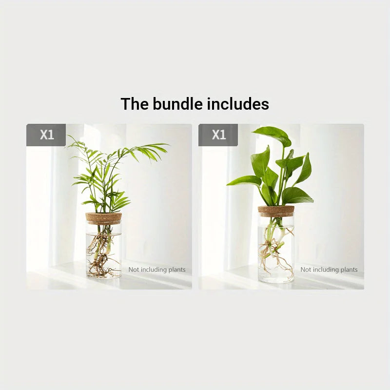 Hydroponics Plants Desktop Glass Planter Vase For Home Decoration, Plant Propagation Station Bud Vase, Desktop Hydroponics