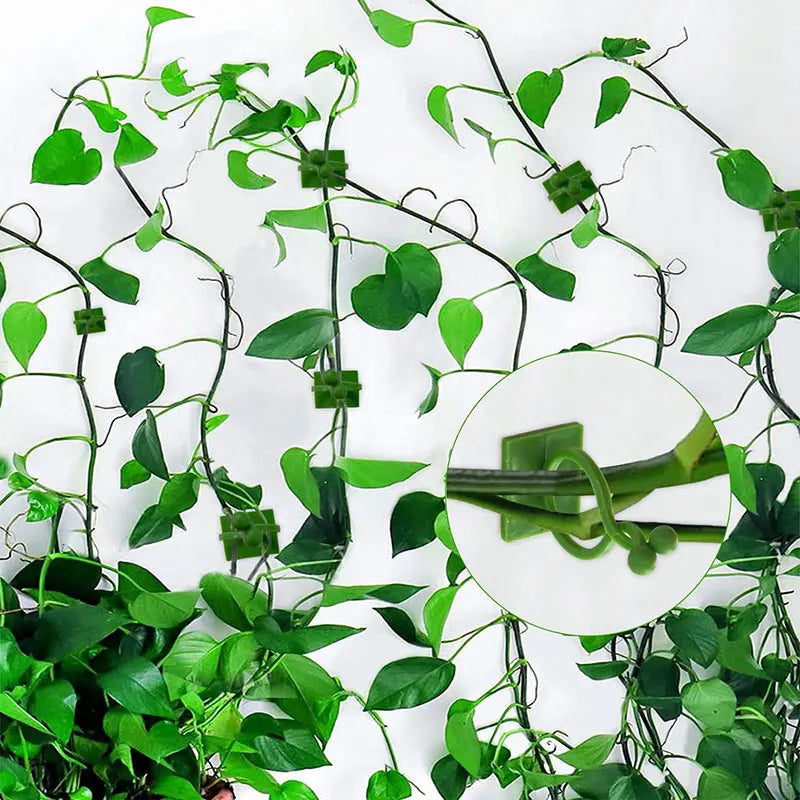 Invisible Wall Rattan Clamp Plant Climbing Wall Self-Adhesive Fixator Self-Adhesive Hook Plant Bracket Sticky Hook Plant Support
