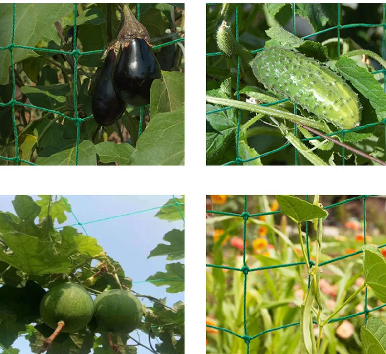 Thick Nylon Plant Trellis Strong Garden Climbing Netting Heavy Duty Mesh Net for Cucumber Tomato Grape Garden Accessories
