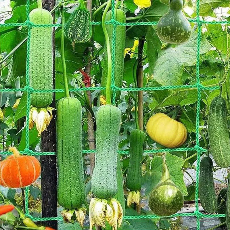 Thick Nylon Plant Trellis Strong Garden Climbing Netting Heavy Duty Mesh Net for Cucumber Tomato Grape Garden Accessories
