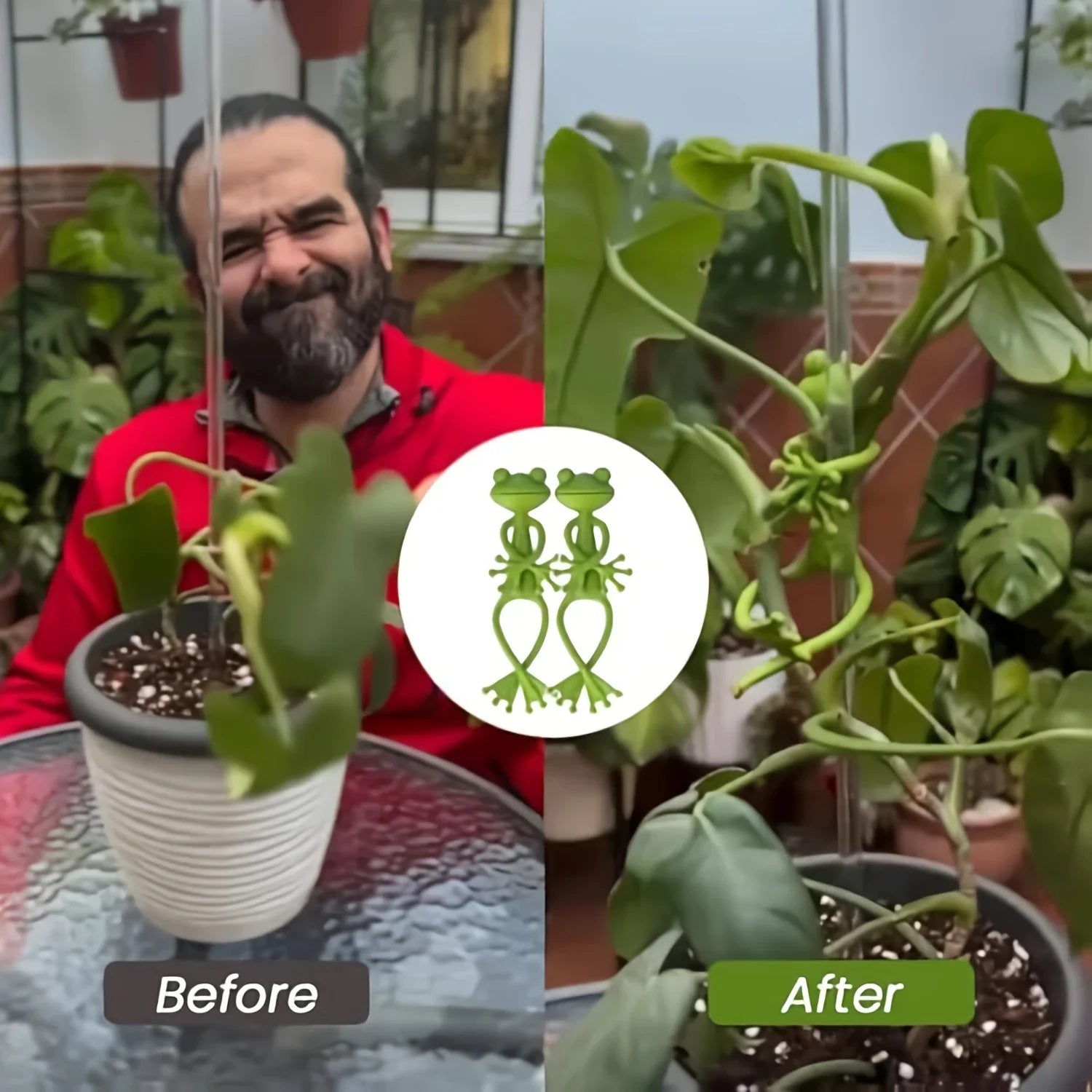 Garden Supplies Tomato Plant Support for Plants Gardening Gadgets Plant Stand Indoor Garden Pots & Planters Accessories Vine