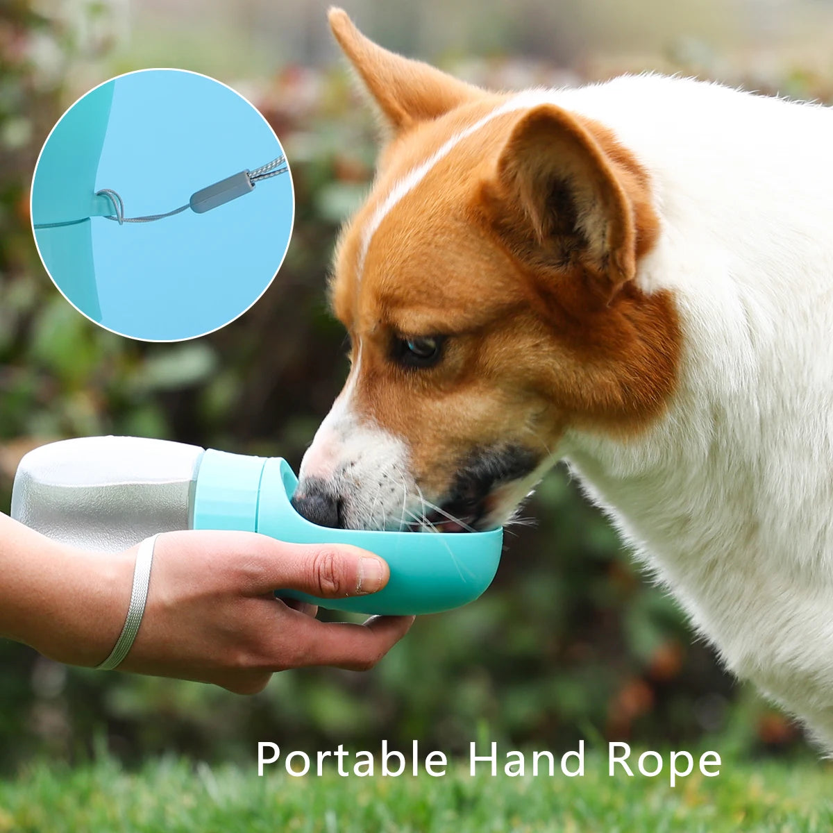 300ml/500ml Pet Water Bottle Portable Drinking Bowl For Dogs And Cats Travel Hiking