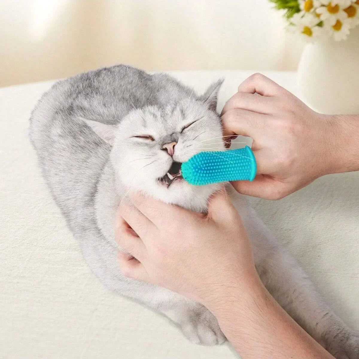 Cat Dog Super Soft Pet Finger Toothbrush Teeth Cleaning Bad Breath Care Nontoxic Silicone Toothbrush Tool Dog Cleaning Supplies