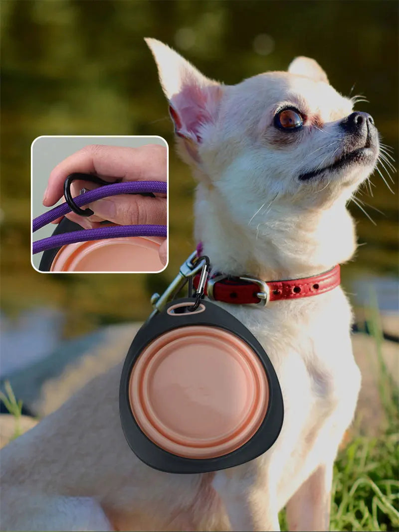 Pet Folding Silicone Bowl Collapsible Dog Outdoor Travel Portable Puppy Food Feeder Dish Bowl Silicone Dog Feeder Bowl 2 In 1