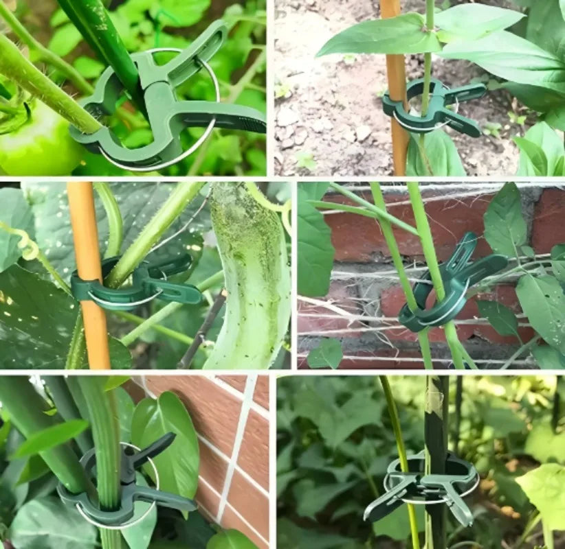 Garden Plant Support Clips Reusable Green Plastics Clips Climbing Plants Tomato Vine Support Clip Secure Growth Fixation Tools