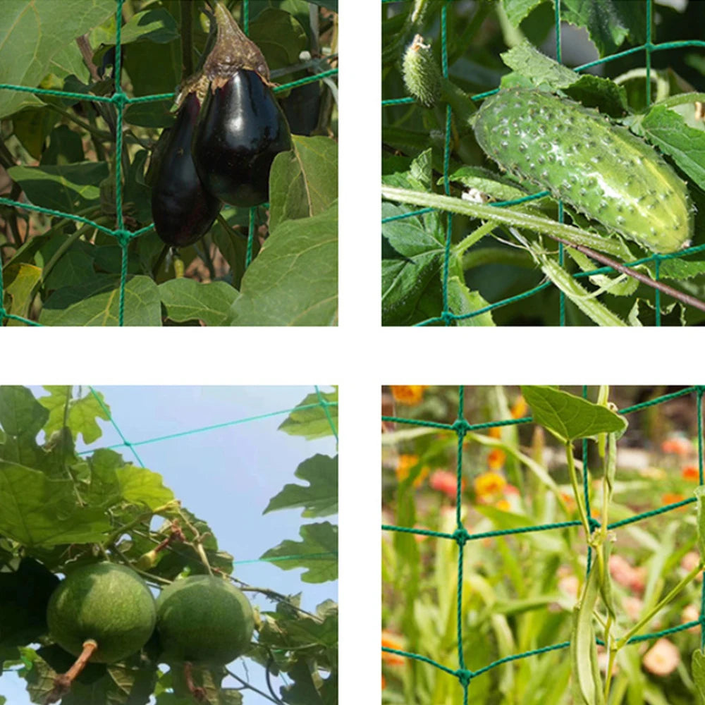 Thick Nylon Plant Trellis Strong Garden Climbing Netting Heavy Duty Mesh Net for Cucumber Tomato Grape Garden Accessories