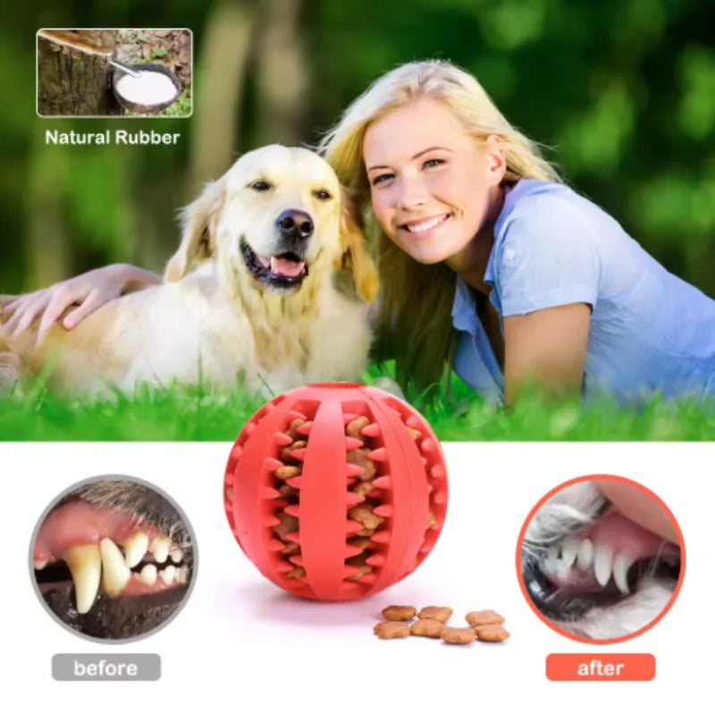 Natural Rubber Pet Dog Toys Dog Chew Toys Tooth Cleaning Treat Ball Extra-tough Interactive Elasticity Ball5cm for Pet Products