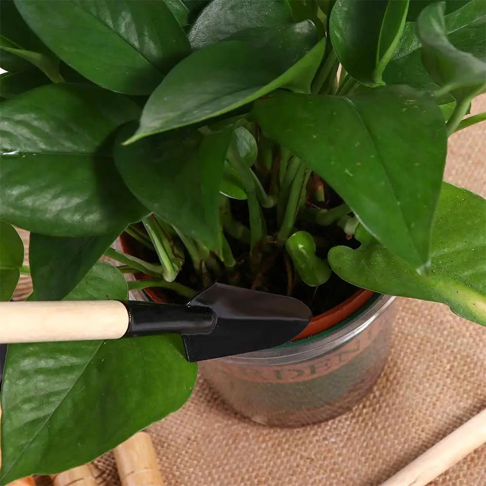 Scoop Handle Rake Gardening Potting Tool Sharp-nosed Shovel Gardening Shovel Flower Shovel Mini Garden Shovel Garden Trowel