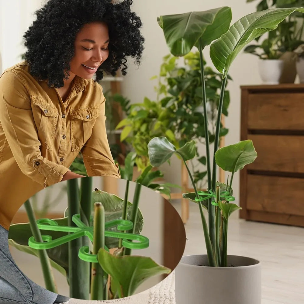 Plant Stem Support Frame Climbing Houseplant Stand Stakes Plastic Garden No Stake Trellis Indoor Plant Holder Rack Hoops