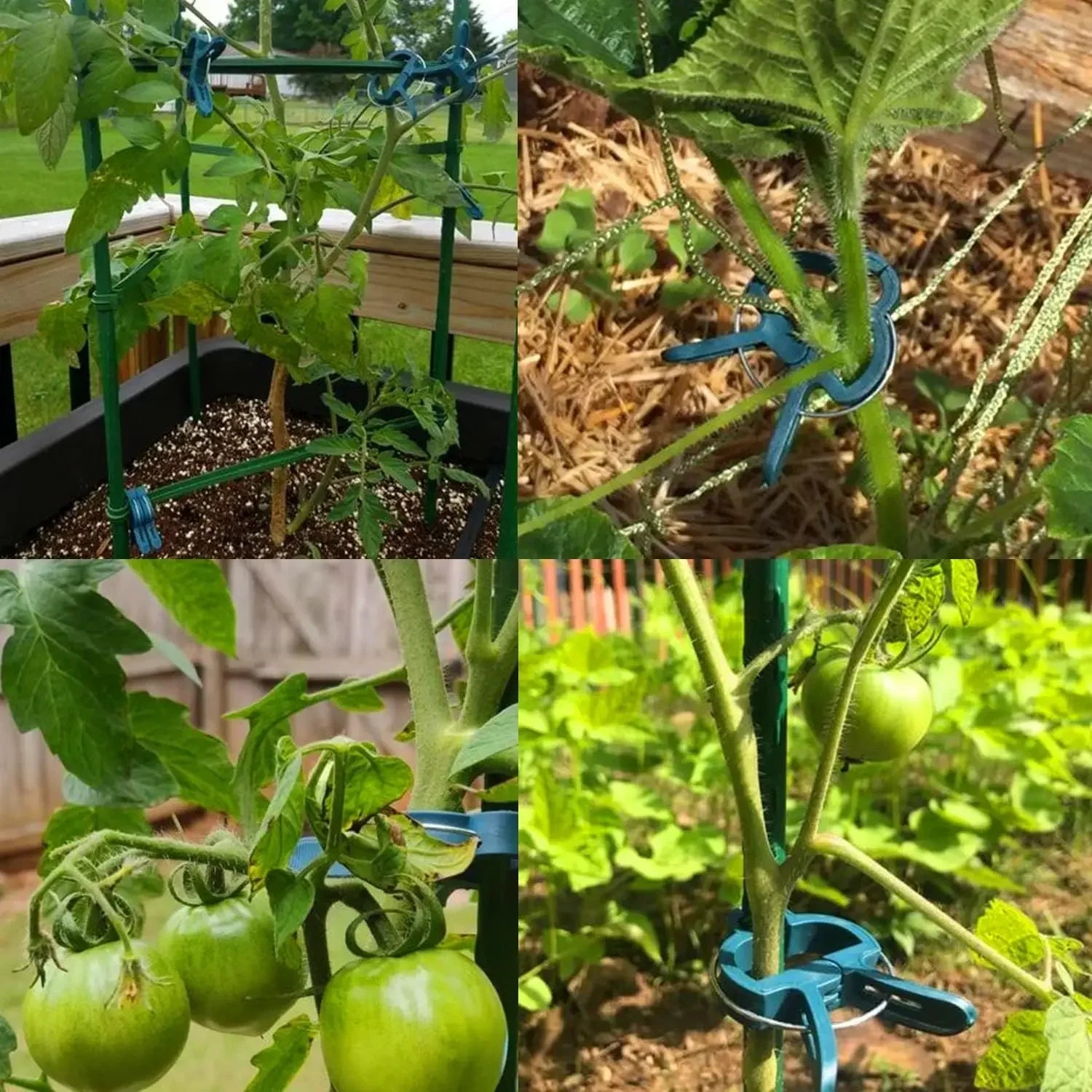 Garden Plant Support Clips Reusable Green Plastics Clips Climbing Plants Tomato Vine Support Clip Secure Growth Fixation Tools