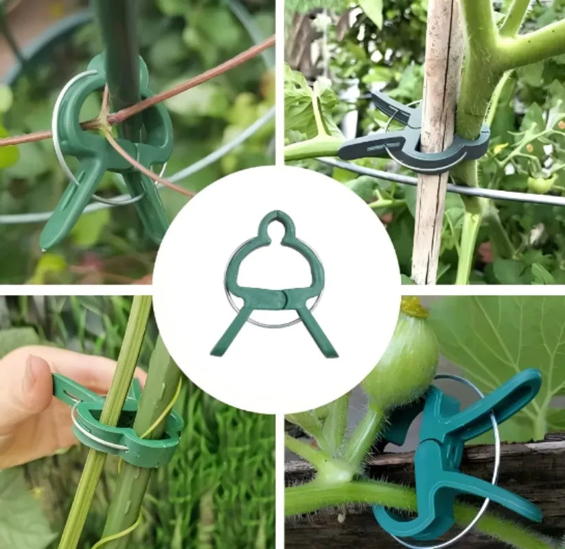Garden Plant Support Clips Reusable Green Plastics Clips Climbing Plants Tomato Vine Support Clip Secure Growth Fixation Tools
