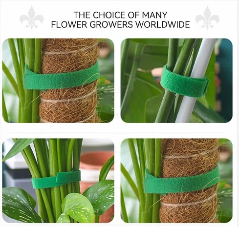 Tutors for Plants Self-adhesive Plant Nylon Cable Tying Climbing Plant Support Green Fastener Tape Reusable Care Garden Supplies