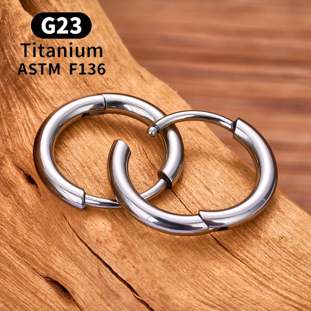 G23 Titanium Earring Hoop CZ Hinged Segment Round Ear Ring for Women Ear Tragus Cartilage Helix Daith Piercing Jewelry