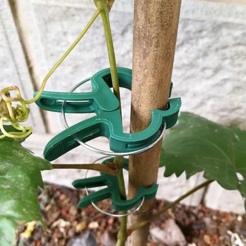 Garden Plant Support Clips Reusable Green Plastics Clips Climbing Plants Tomato Vine Support Clip Secure Growth Fixation Tools