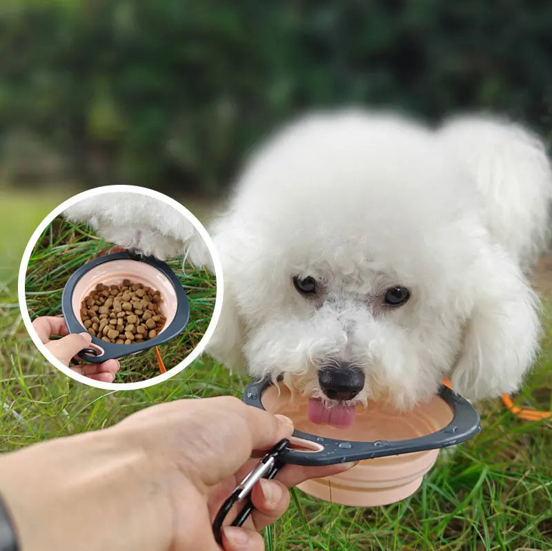 Pet Folding Silicone Bowl Collapsible Dog Outdoor Travel Portable Puppy Food Feeder Dish Bowl Silicone Dog Feeder Bowl 2 In 1