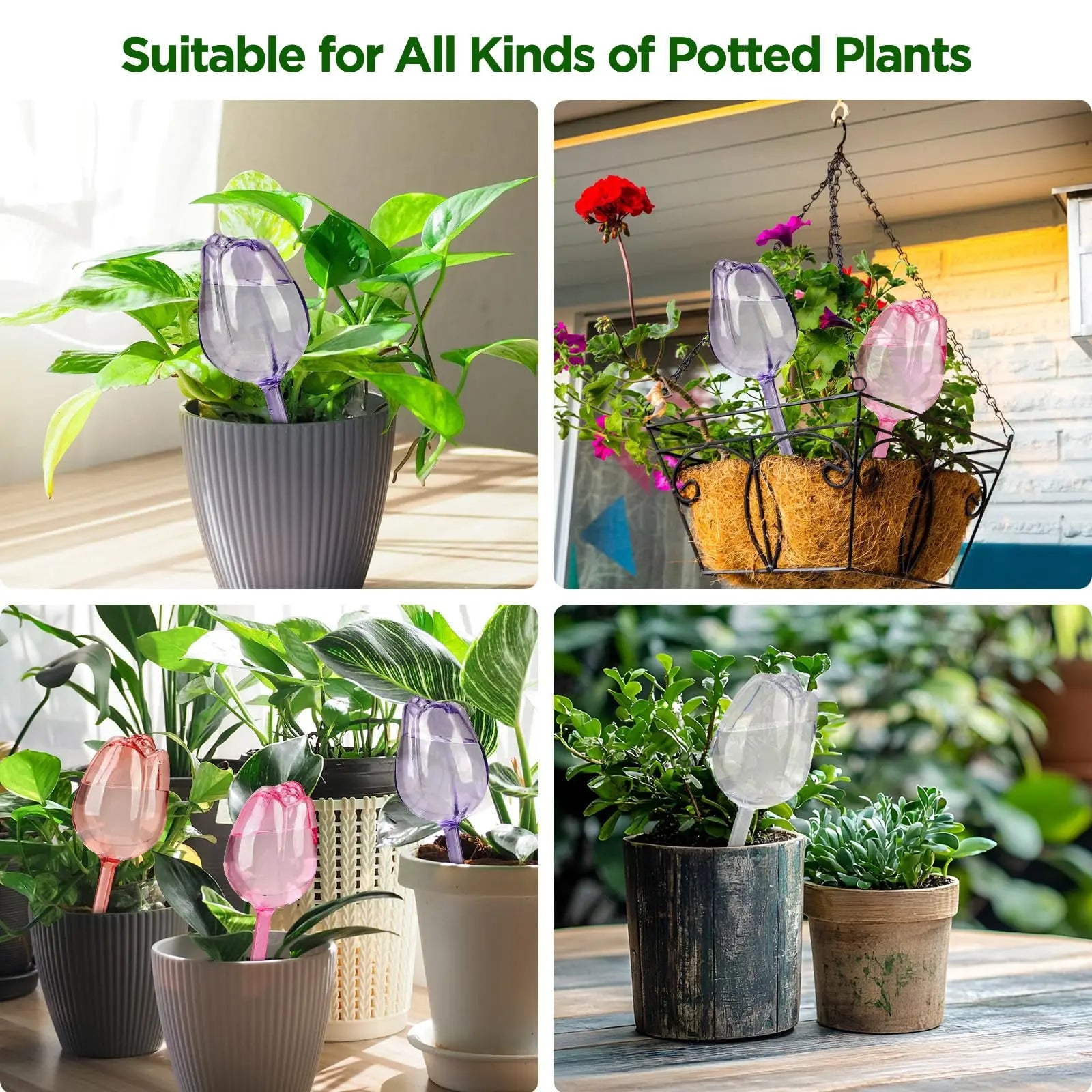 8/1x Tulip-Shaped Watering Globes Effortless Self-Watering Solution for Garden Indoor Outdoor Plants Irrigation of Potted Plants