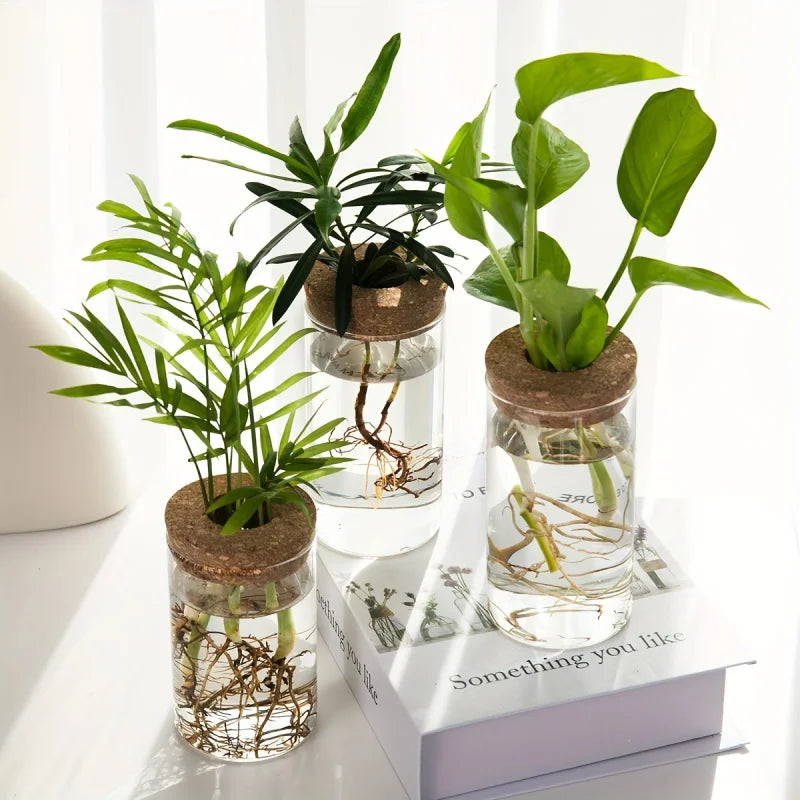 Hydroponics Plants Desktop Glass Planter Vase For Home Decoration, Plant Propagation Station Bud Vase, Desktop Hydroponics