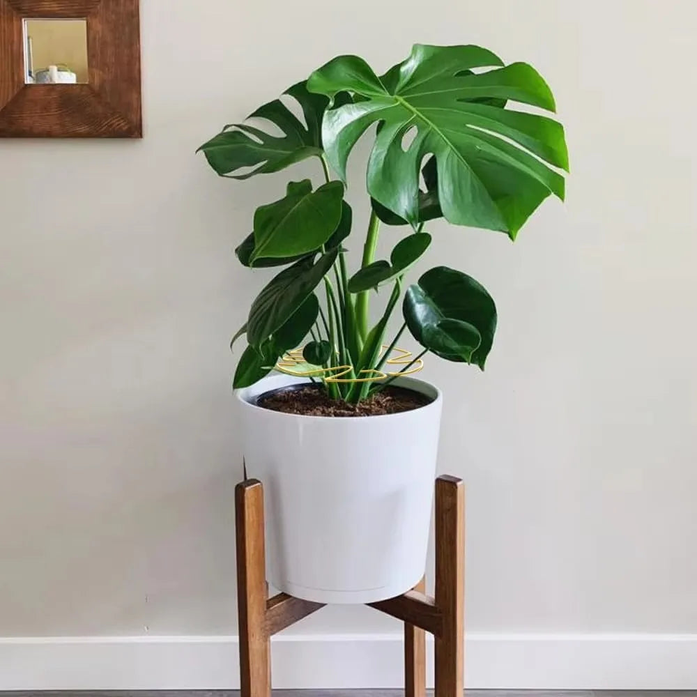 Stabilizers Plant Fixing Bracket Easy Installation Sturdy Decorative Plant Stand Bamboo Shaped Plant Holder Support Pole