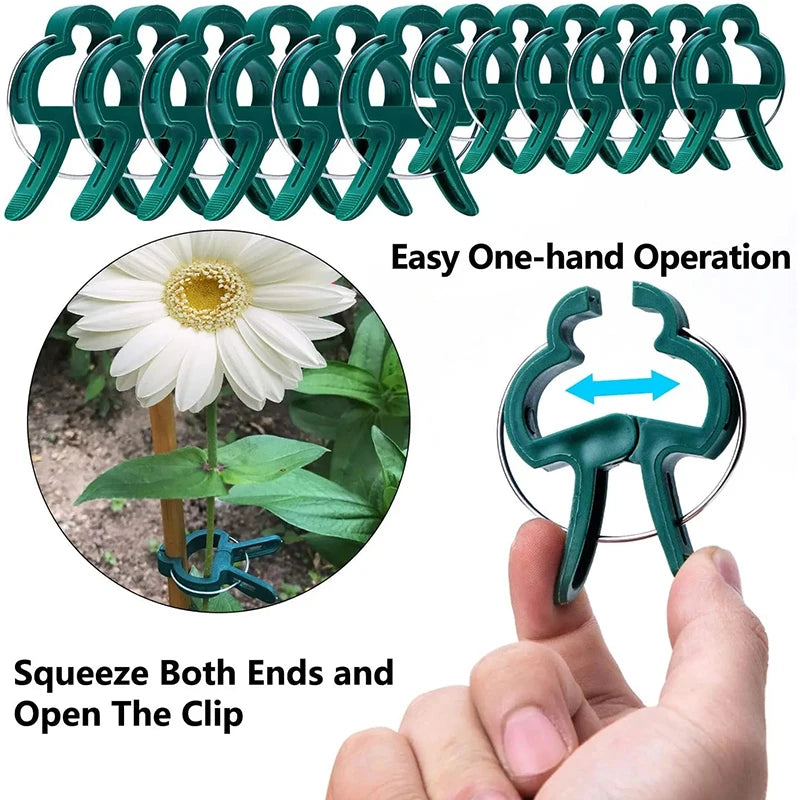 Garden Plant Support Clips Reusable Green Plastics Clips Climbing Plants Tomato Vine Support Clip Secure Growth Fixation Tools