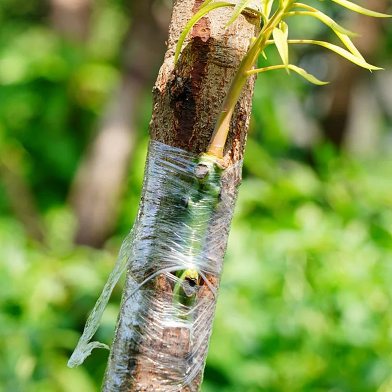 Stretchable Grafting Tape for Plant Support Nursery Use Household Garden Grafting Transparent Tape for Fruit Tree