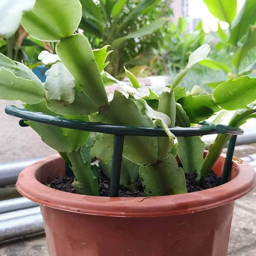 Garden Plant Support Cage Plie Flower Stand Holder Plastic Semicircle Greenhouse Orchard Fixing Rod Gardening Bonsai Tool