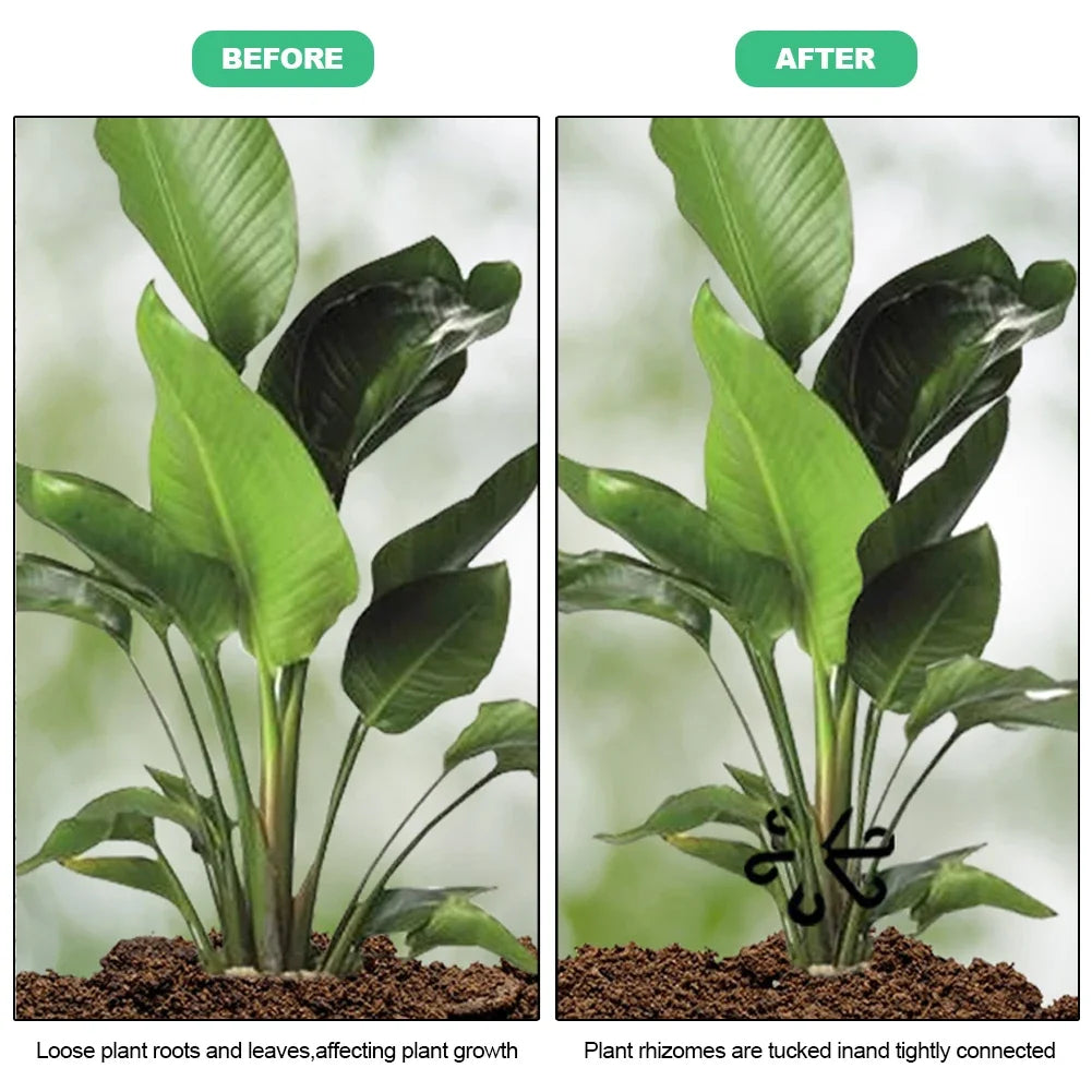 Plant Stem Support Frame Climbing Houseplant Stand Stakes Plastic Garden No Stake Trellis Indoor Plant Holder Rack Hoops