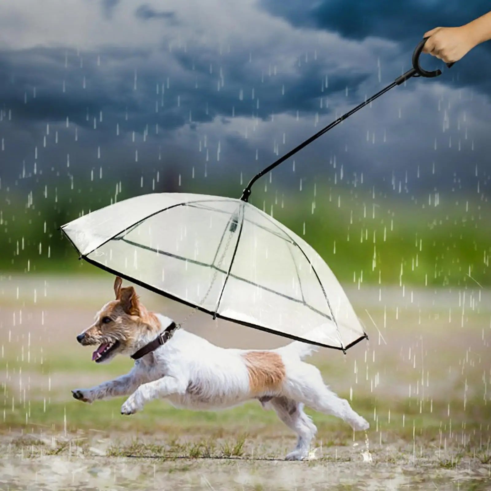 Detachable Clear Pet Dog Umbrellas C-Shape Handle with Leash Doggy Poncho Rainproof Adjustable Raincoat for Small Dogs
