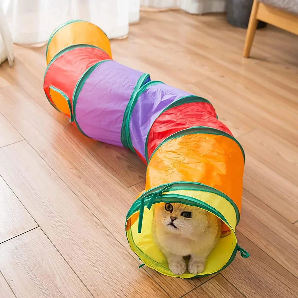 Cat Tunnel Tube, Foldable Cat Toys, Cat Training, Fun Interactive Toys, Puppy Black Tunnel, Pet Supplies, Cat Accessories