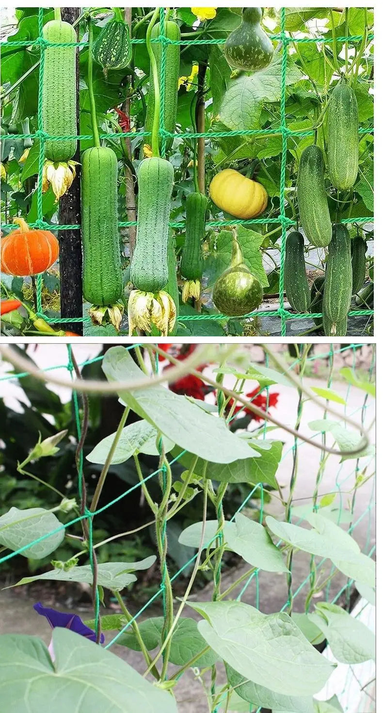 Thick Nylon Plant Trellis Strong Garden Climbing Netting Heavy Duty Mesh Net for Cucumber Tomato Grape Garden Accessories