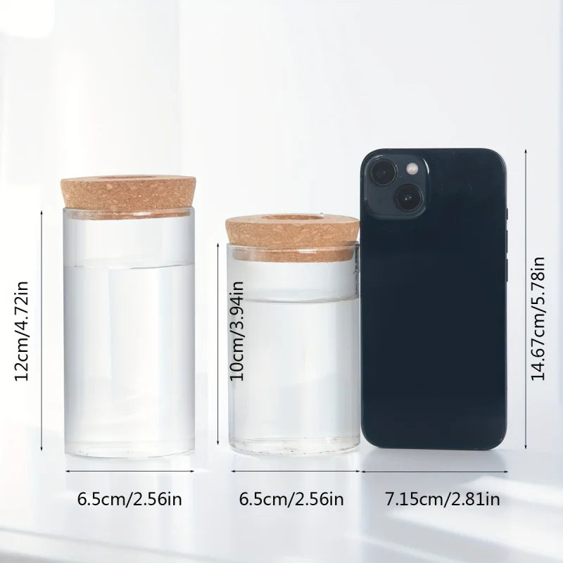 Hydroponics Plants Desktop Glass Planter Vase For Home Decoration, Plant Propagation Station Bud Vase, Desktop Hydroponics