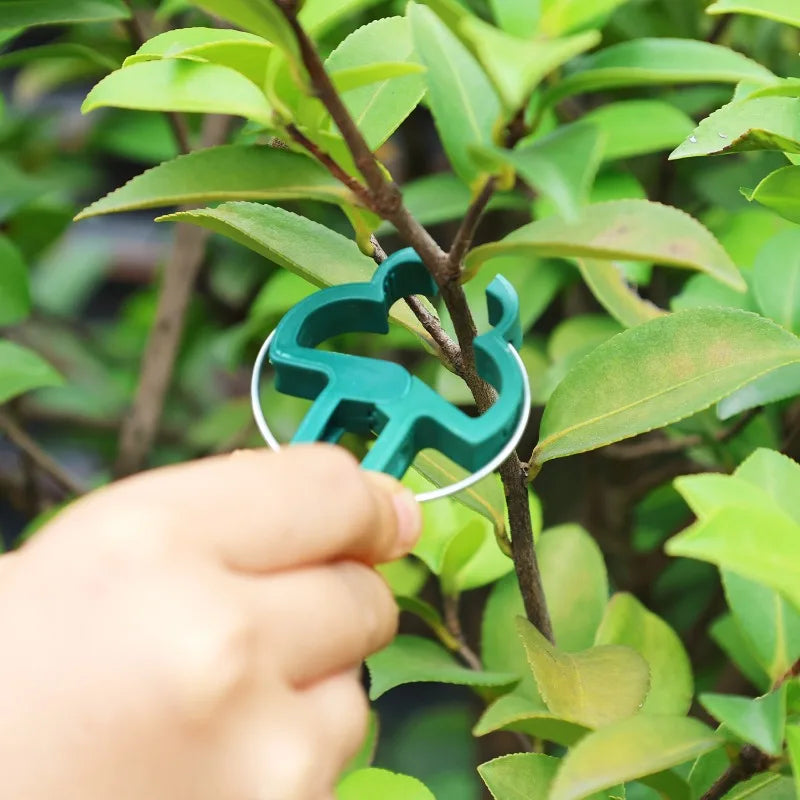 Garden Plant Support Clips Reusable Green Plastics Clips Climbing Plants Tomato Vine Support Clip Secure Growth Fixation Tools