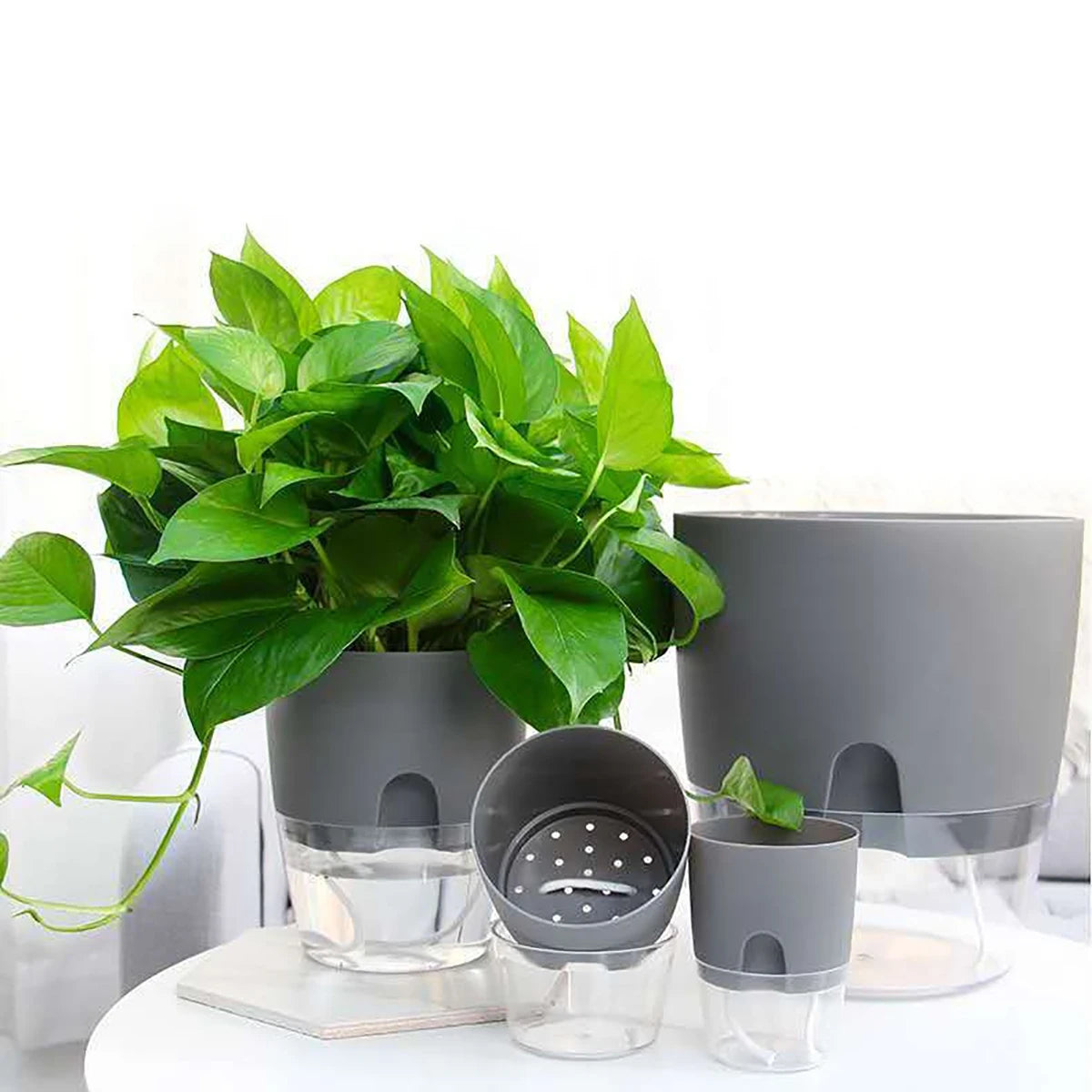 8.2/10.5/15.3/23.5cm Hydroponic Pot Self Watering Flower Pot Liquid Farming Soilless Cultivation Planter Cotton Rope Watering